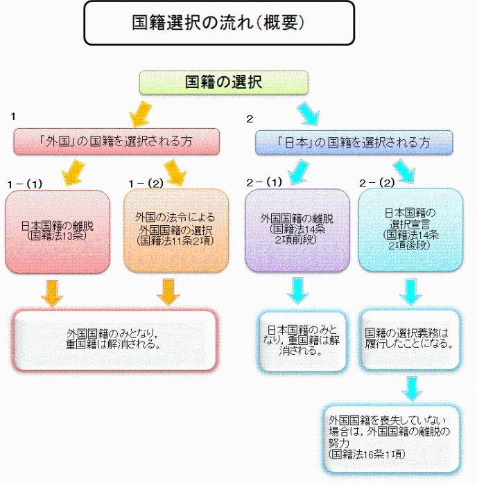 図：国籍選択の流れ（概要）