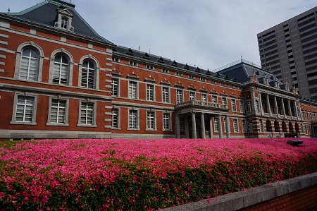 Satsuki azaleas planted all around the Red Brick Building