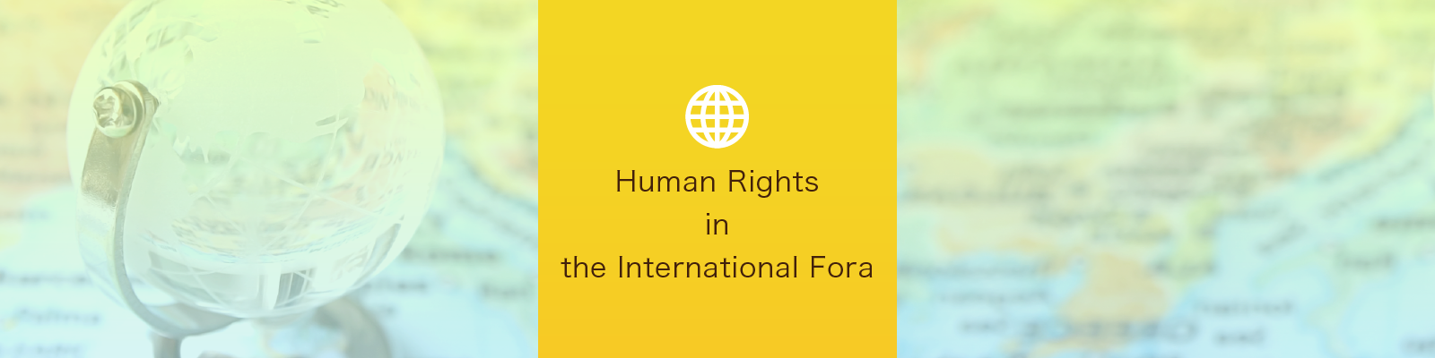 Human Rights in the International Fora