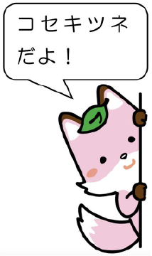 コセキツネ