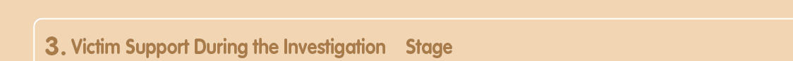 3. Victim Support During the Investigation Stage