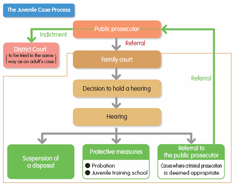 The Juvenile Case Process