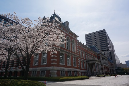 満開の桜と調和する赤れんが棟の明治時代の面影