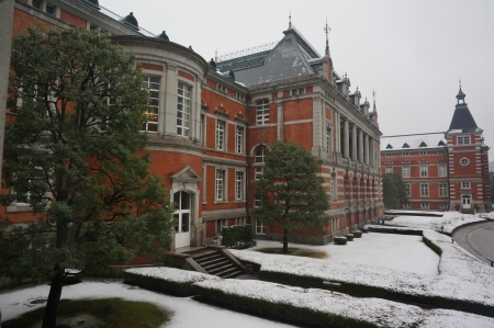 Color of red bricks brilliant in the surrounding white