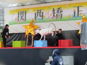ステージイベントの様子です。