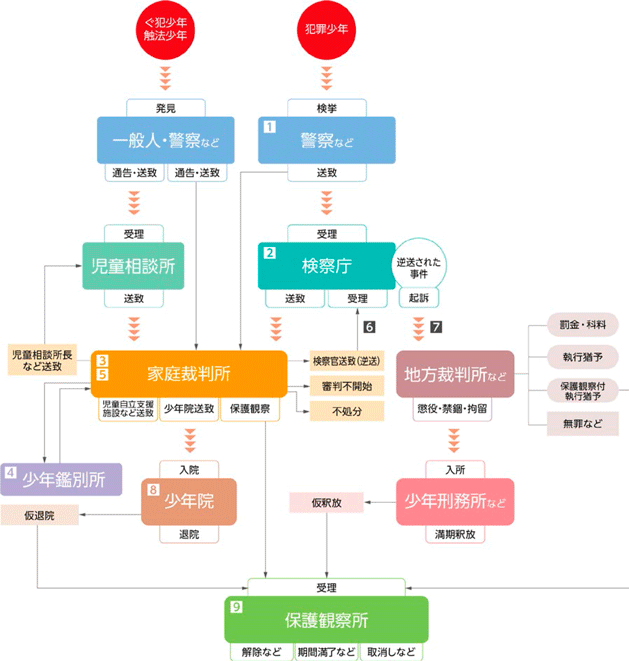 非行少年に関する手続の流れ