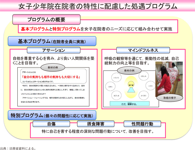 資5-81-1 女子少年院在院者の特性に配慮した処遇プログラムの概要