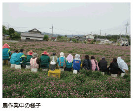 農作業中の様子