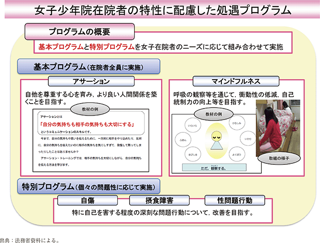 資5-81-1　女子少年院在院者の特性に配慮した処遇プログラムの概要