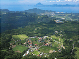 特1-6 花の木農場の風景