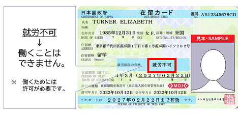 在留カードの表面の就労制限の有無が「就労不可」となっている場合は、働くことができません（働くには許可が必要です）。