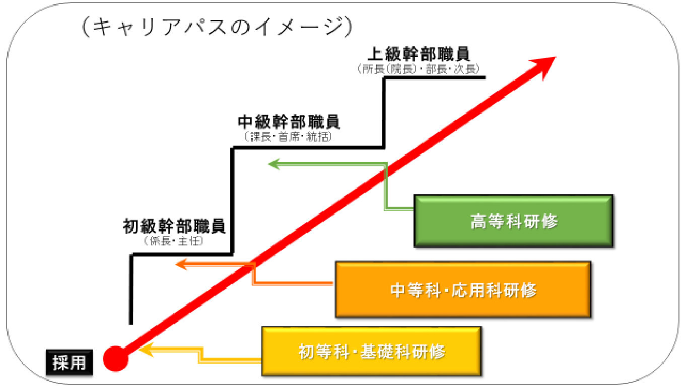 キャリアパス図の画像